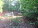 Dawson Forrest 013.jpg